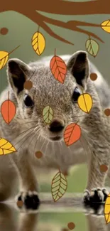 Squirrel among colorful autumn leaves, set as a mobile wallpaper.