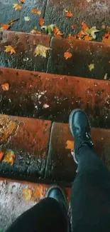 Person walking on wet stone steps with autumn leaves.