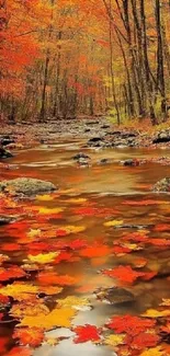Colorful autumn stream with floating leaves in a forest.