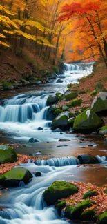 Serene stream with autumn foliage in vibrant orange hues.