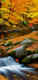 A serene autumn stream with golden and orange foliage in a forest setting.