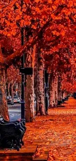 Vibrant street scene with orange autumn leaves and a bench.