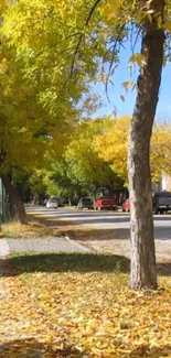 Street with autumn trees and fallen leaves.