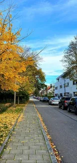 A tranquil street with autumn leaves and blue sky, perfect for a mobile wallpaper.