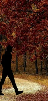 Silhouette walking on autumn forest path with vibrant red leaves.