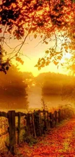 Autumn sunrise over a forest path, golden hues.