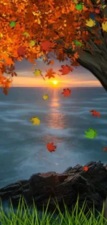 Autumn tree and leaves by the ocean during a sunset.