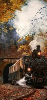 Steam train in autumn forest with vibrant golden colors.