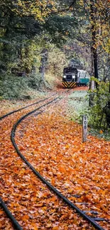 Autumn train on leafy tracks through a vibrant forest landscape.