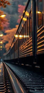 Train on tracks amidst autumn leaves in evening light.