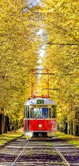 Tram travels through autumn forest with golden trees.