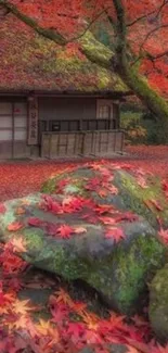 Japanese house with red autumn leaves scene.