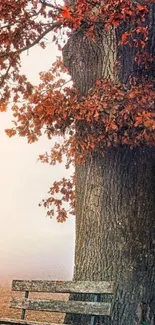 Serene autumn scene with a bench under a large tree.