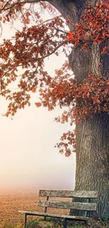 Autumn tree and bench in a tranquil landscape.