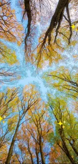 Autumn tree canopy with bright sky and vibrant leaves.