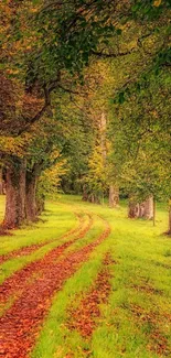 Scenic autumn path lined with colorful trees.