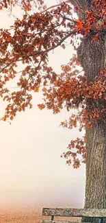 Majestic tree with orange leaves in a misty fall scene, enhancing serenity.