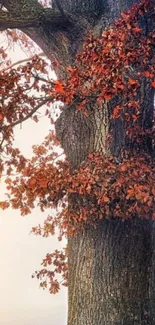 Majestic tree trunk with autumn leaves against a serene background.