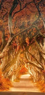 Autumn tree tunnel with vibrant leaves in a serene pathway.