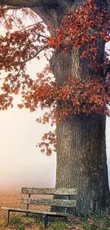 Autumn tree with red leaves and bench in park.