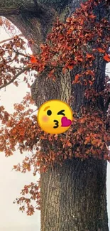 Autumn tree with orange leaves and a cute emoji face.