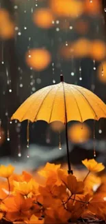 Yellow umbrella in autumn rain with orange leaves.