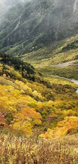 Vibrant autumn valley with orange foliage under misty mountains.