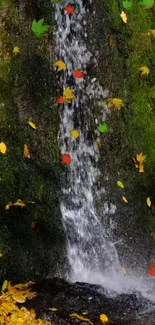 Autumn waterfall with colorful leaves and lush green moss.