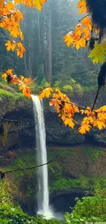 Waterfall in a forest with autumn leaves.