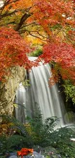 Scenic waterfall framed by vibrant autumn leaves.