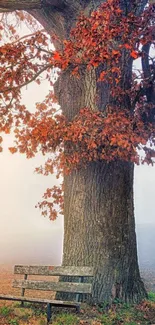 Majestic tree with red leaves beside a rustic bench in a misty autumn setting.