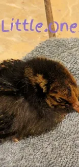 Cute baby chick resting on a gray towel with 'Little One' text above.