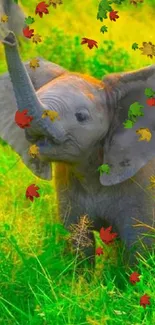 Adorable baby elephant in lush green grass.