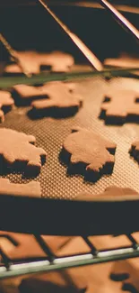 Freshly baked cookies on a tray in a warm-lit oven.