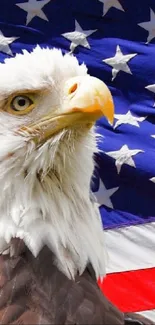 Bald eagle in front of American flag wallpaper.