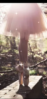 Ballet dancer poised on toes in nature scene.