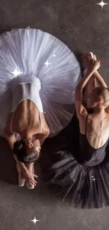 Ballet dancers in contrasting tutus pose gracefully.