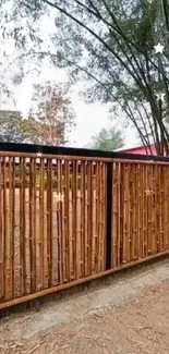 Bamboo gate amidst tall trees, serene nature scene for mobile wallpaper.