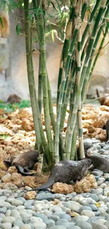 Otters playing around bamboo in a natural setting.