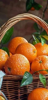 Vibrant orange-filled basket with fresh green leaves.