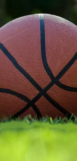 Brown basketball resting on vibrant green grass.