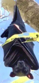 Bat hanging on a tree branch with a blue sky background.