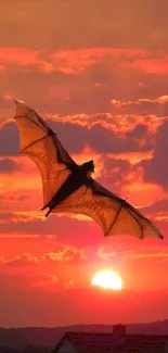 Silhouette of a bat flying against a vibrant sunset sky.