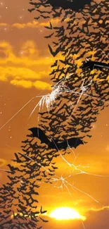 Bats flying across a vivid orange sunset sky, creating a striking silhouette effect.