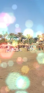 Beach with palm trees and vibrant bokeh overlay.