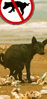 Humorous beach scene with dog and sign.