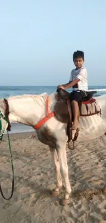 Child on horse at beach with ocean backdrop.