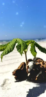 Leaf on sandy beach under a blue sky with stars.