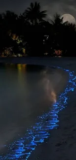 Bioluminescent waves on a moonlit beach at night.