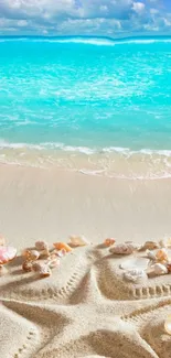 Beach with starfish and shells on sand, turquoise water and blue sky.